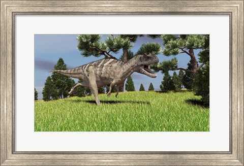 Framed Ceratosaurus Print
