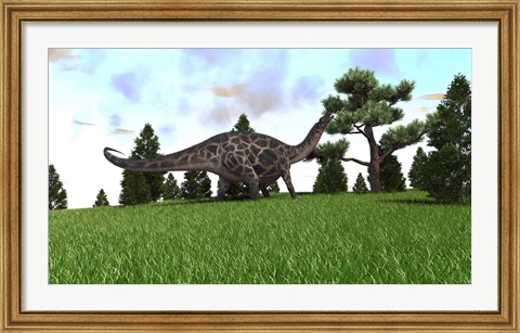 Framed Dicraeosaurus Print