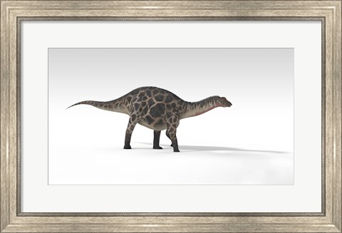 Framed Dicraeosaurus Dinosaur Print