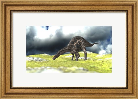 Framed Dicraeosaurus Grazing Print