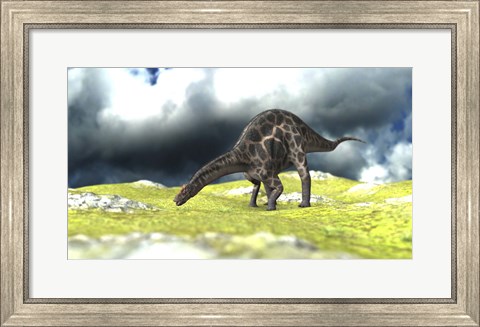 Framed Dicraeosaurus Grazing Print