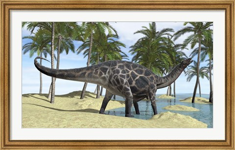 Framed Dicraeosaurus in Shallow Water Print