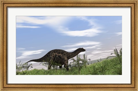 Framed Dicraeosaurus Walking Print
