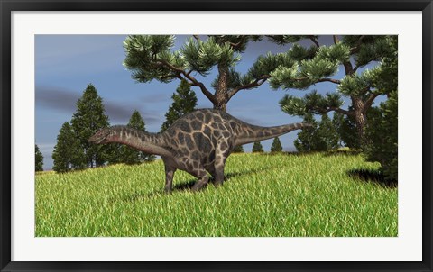 Framed Dicraeosaurus Walking in a Field Print