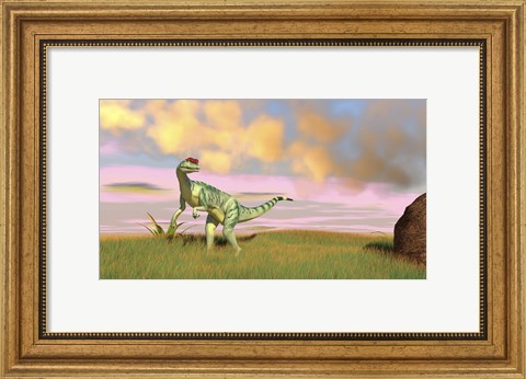 Framed Dilophosaurus Hunting in an Open Field Print