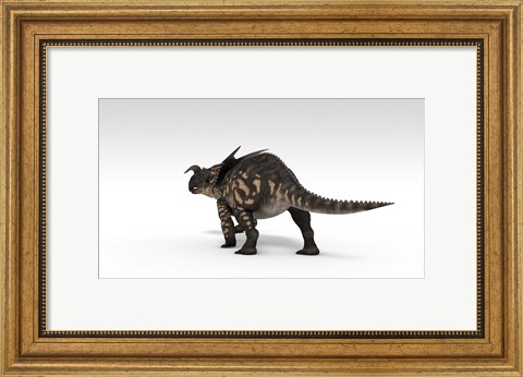 Framed Einiosaurus Dinosaur Print