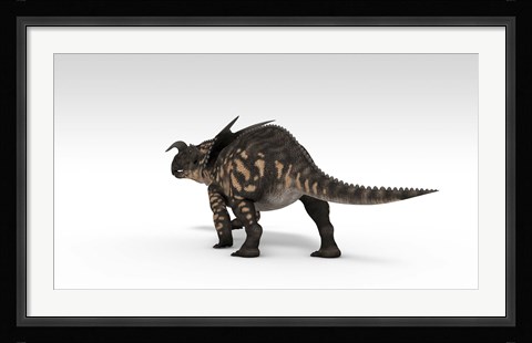 Framed Einiosaurus Dinosaur Print