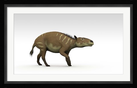 Framed Eurohippus Print