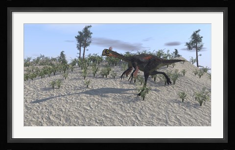 Framed Gigantoraptor Print