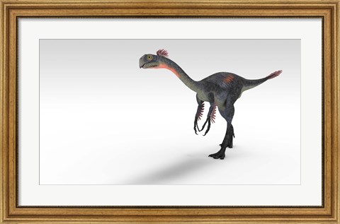 Framed Gigantoraptor Dinosaur Print