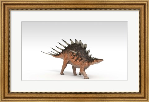 Framed Kentrosaurus Dinosaur Print