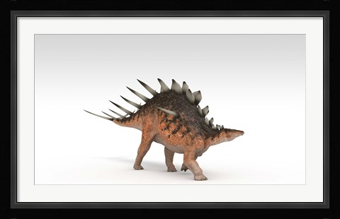 Framed Kentrosaurus Dinosaur Print