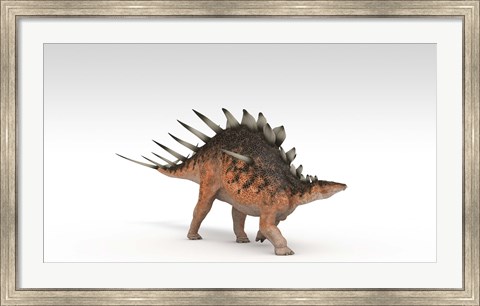 Framed Kentrosaurus Dinosaur Print
