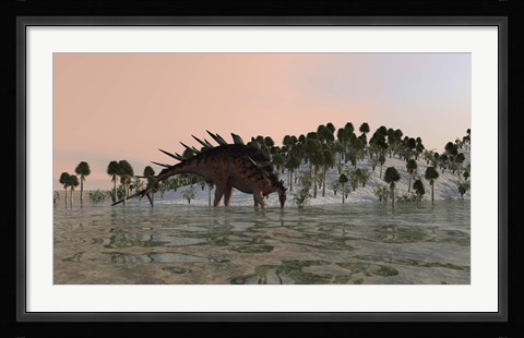 Framed Kentrosaurus Drinking Print