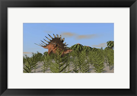 Framed Kentrosaurus Grazing Print