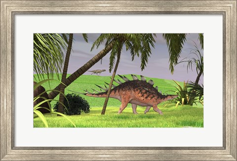 Framed Kentrosaurus Walking in Field Print