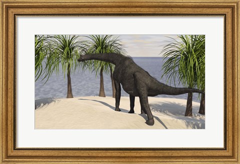 Framed Large Brachiosaurus Grazing on Trees Print
