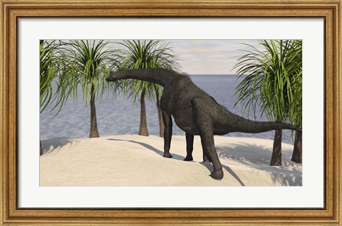 Framed Large Brachiosaurus Grazing on Trees Print