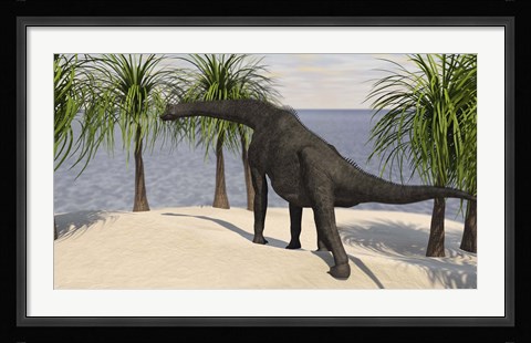 Framed Large Brachiosaurus Grazing on Trees Print