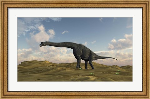 Framed Large Brachiosaurus in a Barren Evnironment Print