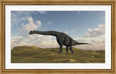 Framed Large Brachiosaurus in a Barren Evnironment Print