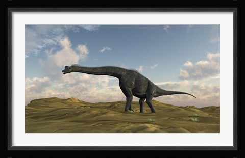 Framed Large Brachiosaurus in a Barren Evnironment Print