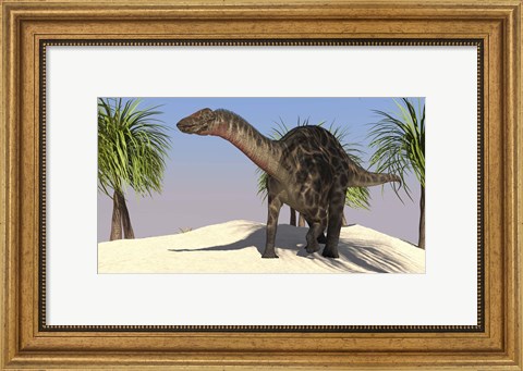 Framed Large Dicraeosaurus Print