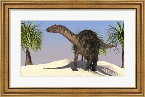 Framed Large Dicraeosaurus Print