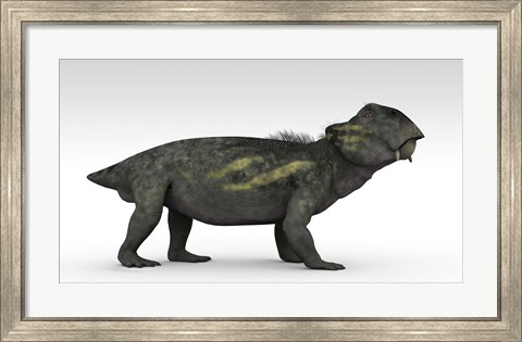 Framed Lystrosaurus Print
