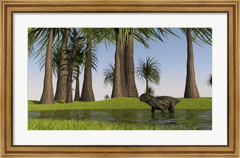 Framed Lystrosaurus Water Print
