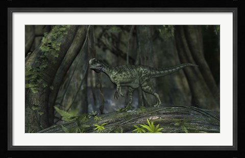 Framed Monolophosaurus in Woodlands Print