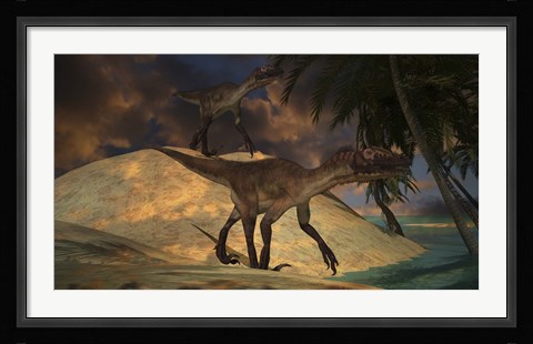 Framed Pair of Utahraptors Print