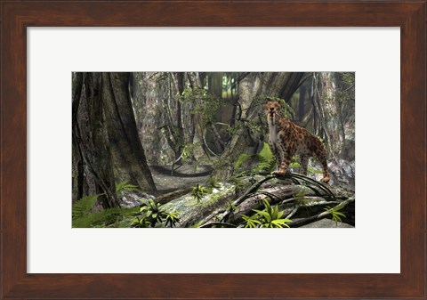 Framed Saber-Toothed Tiger in a Forest Print