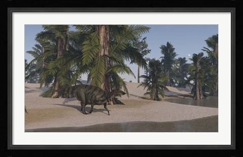 Framed Shuangmiaosaurus Print