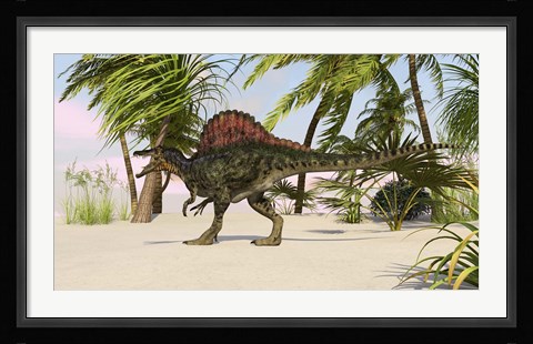 Framed Spinosaurus Hunting for Food Print