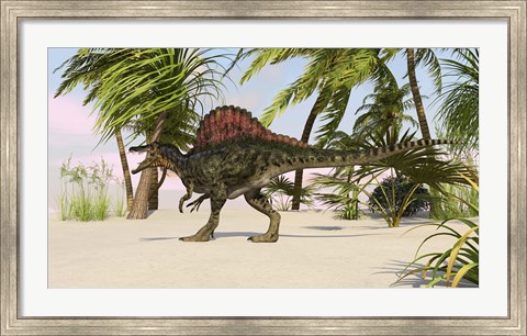 Framed Spinosaurus Hunting for Food Print