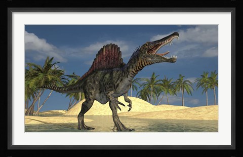 Framed Spinosaurus Hunting for its Next Meal Print
