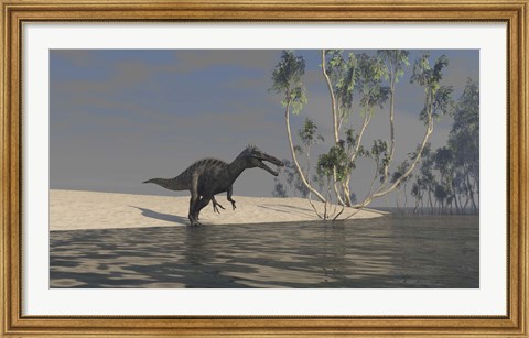 Framed Suchomimus Hunting for Food Print