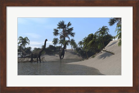 Framed Three Brachiosaurus Dinosaurs Grazing Print