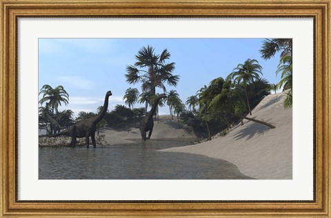 Framed Three Brachiosaurus Dinosaurs Grazing Print
