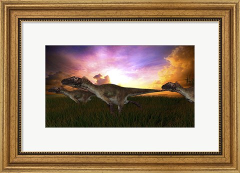 Framed Three Utahraptors Running at Sunset Print