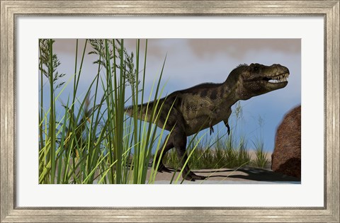 Framed T-Rex Hunting Print