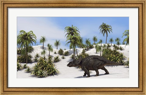 Framed Triceratops in a Tropical Setting Print