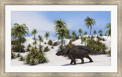 Framed Triceratops in a Tropical Setting Print