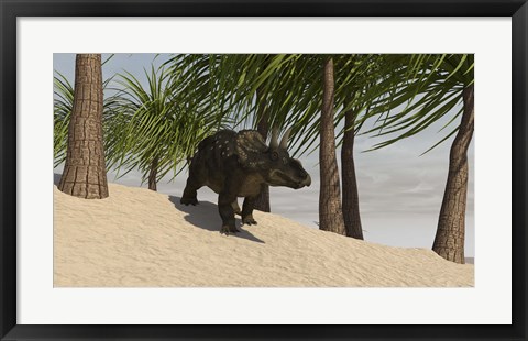 Framed Triceratops Walking in a Tropical Environment Print