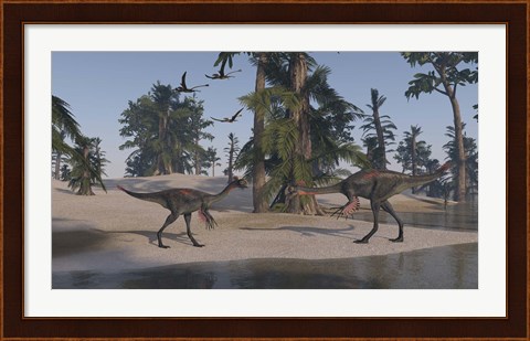 Framed Two Gigantoraptors Print