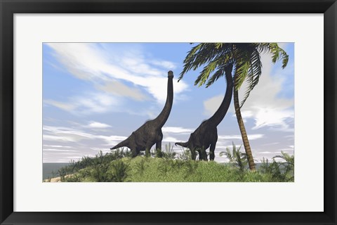 Framed Two Large Brachiosaurus Grazing Print