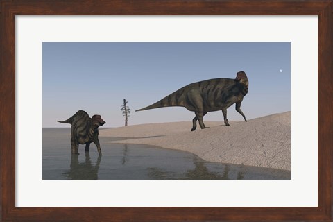 Framed Two Shuangmiaosaurus Dinosaurs Print