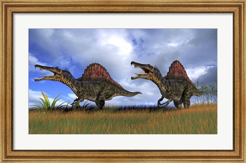 Framed Two Spinosaurus Hunting Print
