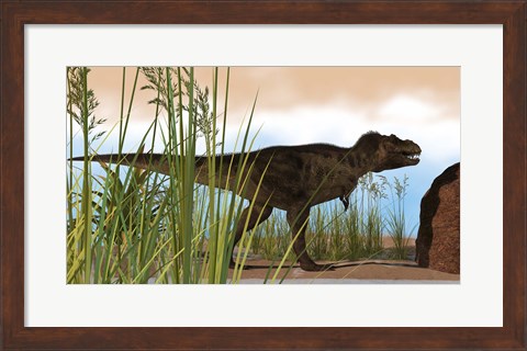Framed Tyrannosaurus Rex Hunting for Meal Print
